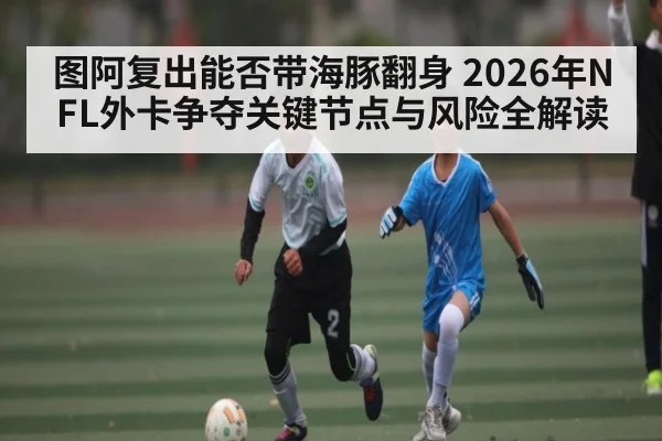 图阿复出能否带海豚翻身 2026年NFL外卡争夺关键节点与风险全解读
